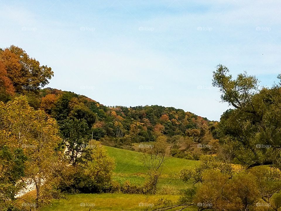 Driving the Back Roads and enjoying everything around us