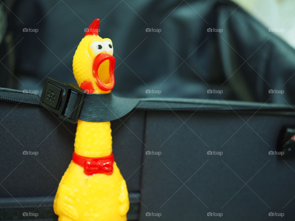 Chicken toy