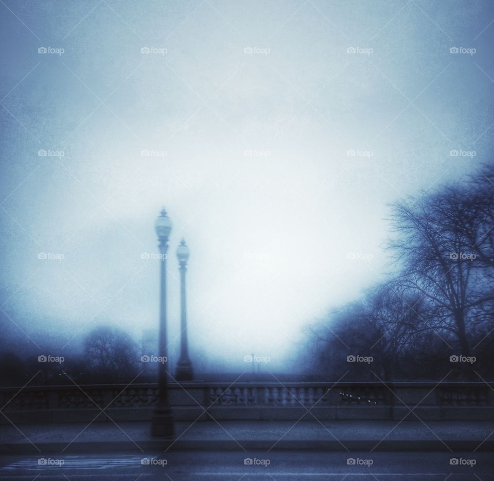 Chicago Series: Foggy Twilight in Downtown Chicago