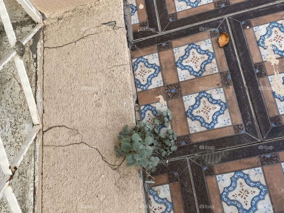  amazing trip with my family in the eid , city taif 