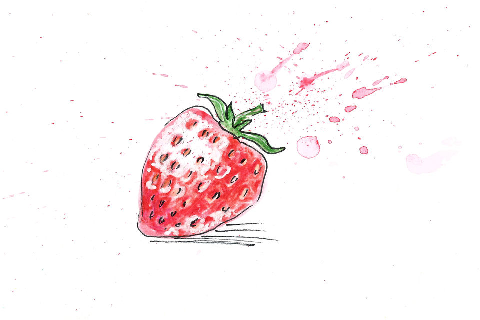 Illustration of Strawberry 