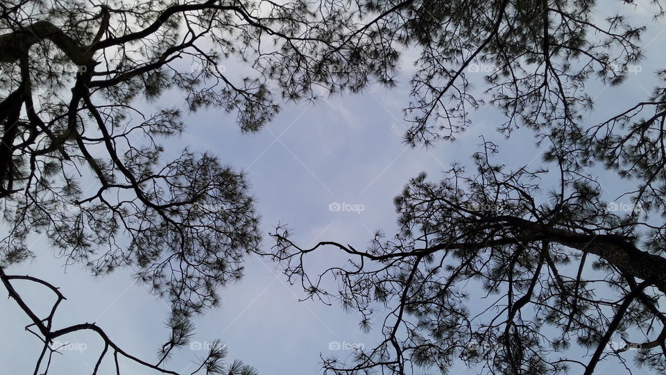 See sky