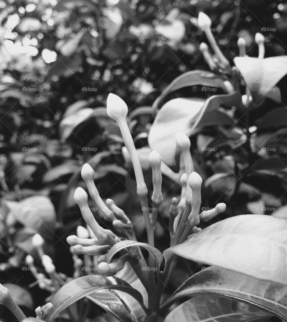 Waiting for life coming out