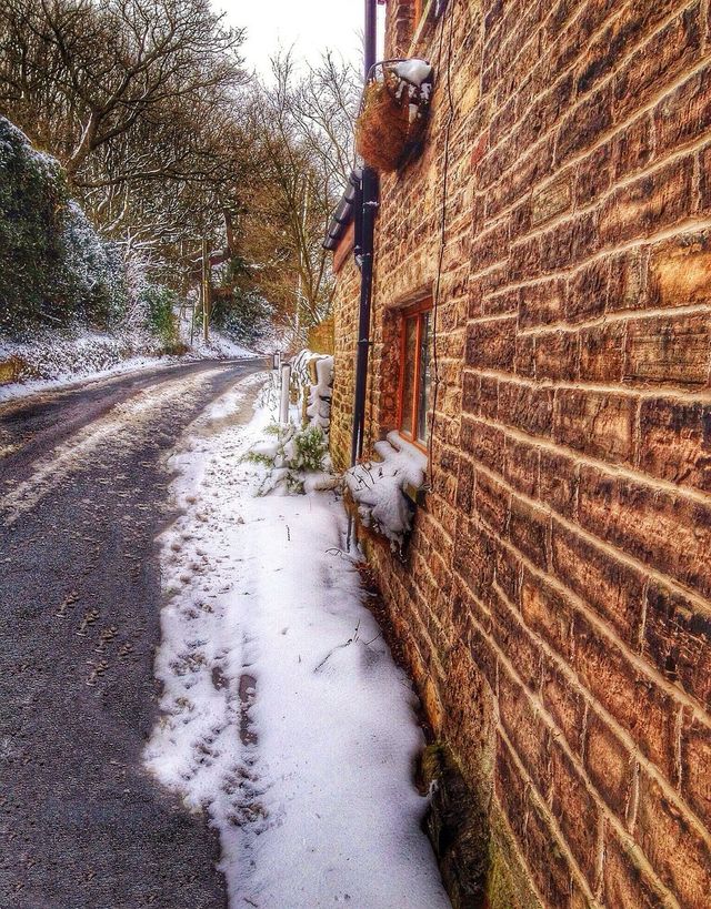 Winter Lane