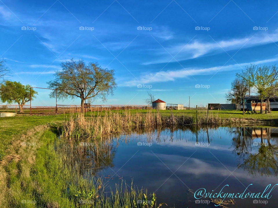 Beautiful day on the farm pond. 