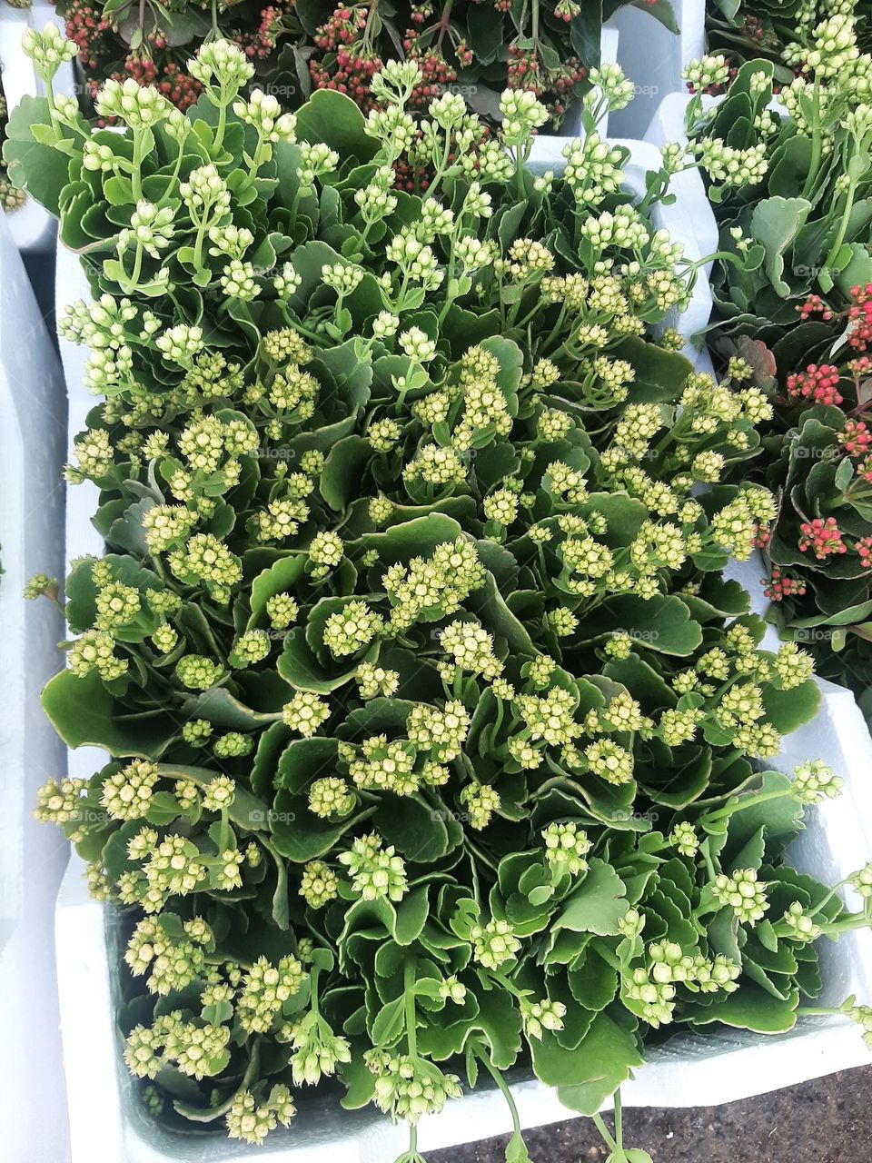 Please make me happy, I am poor, I need your help with support