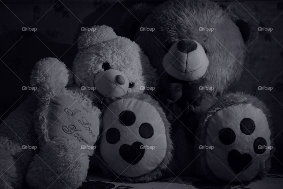 Teddy bear Love story