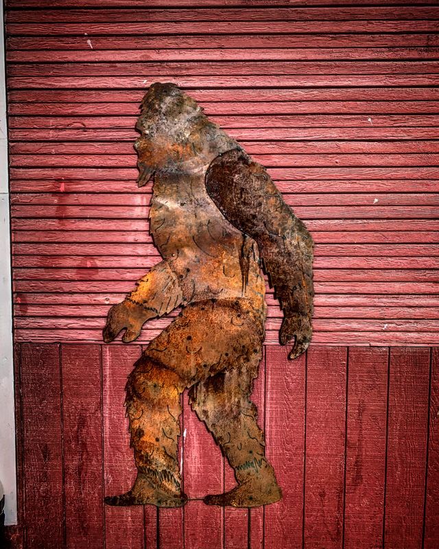 I found big foot! 