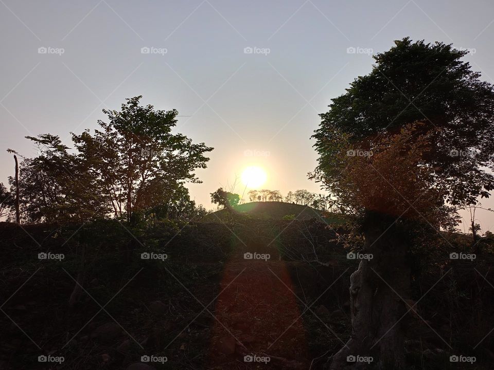 sun rise image morning time
Indian image of nature image
Indian image of tree@open sky@nature image