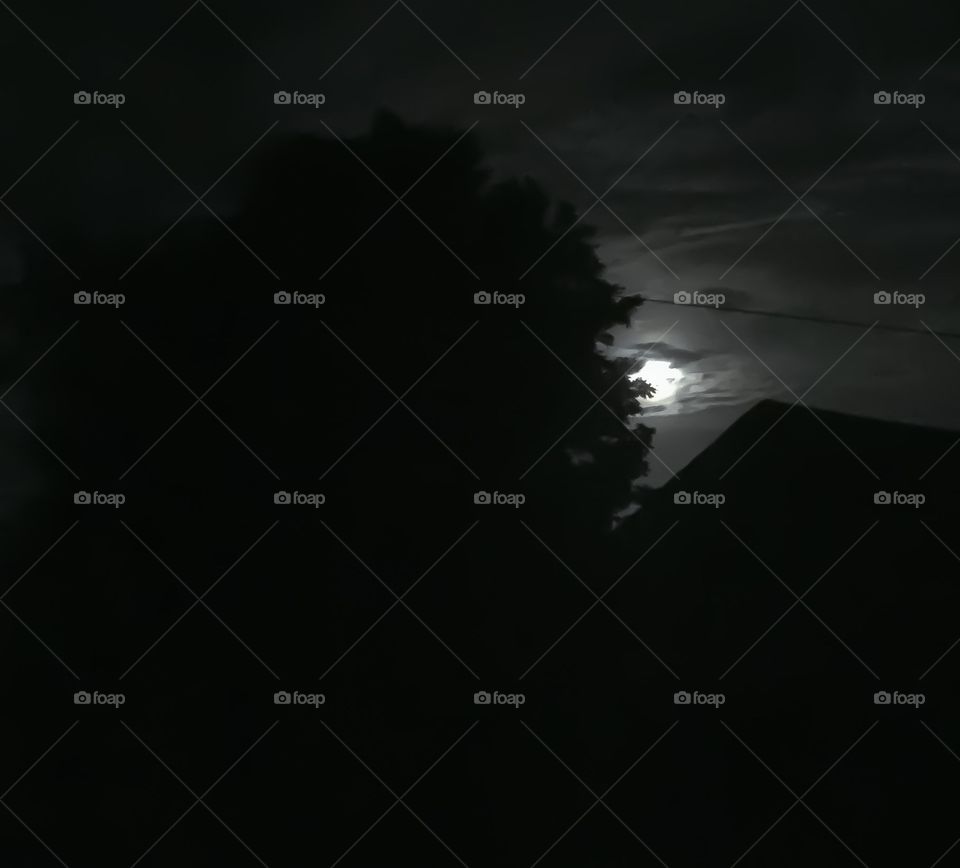 A glorious full moon hanging low in the sky that is shedding its beams across a perfectly serene dark country night!