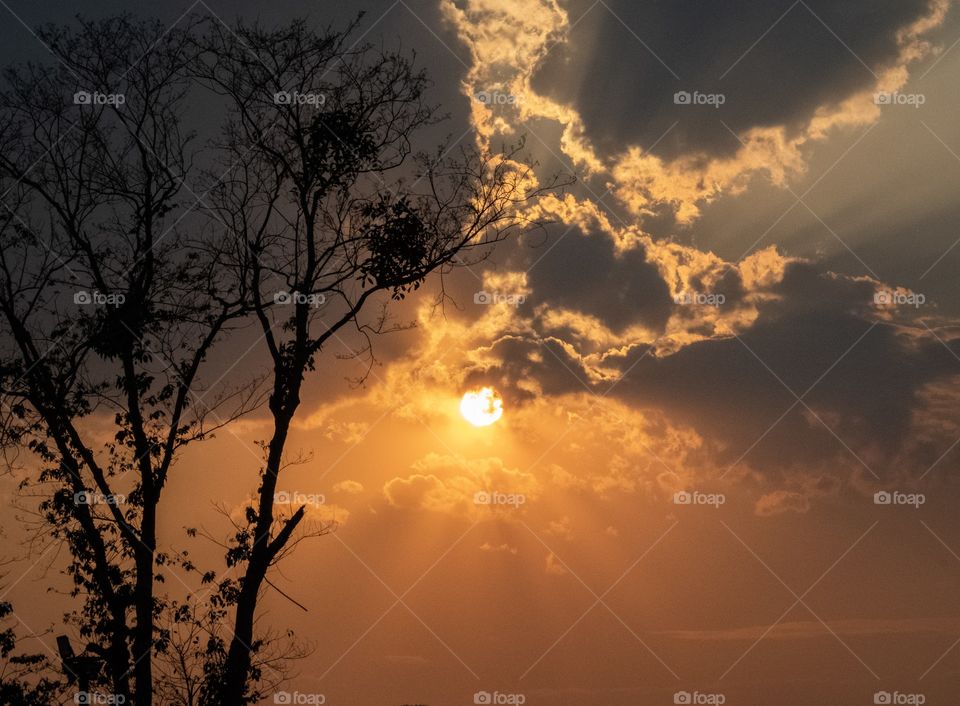 Chengrai/Thailand:February 16 2019-Chui Foung ,beautiful sun set on tea plantation 