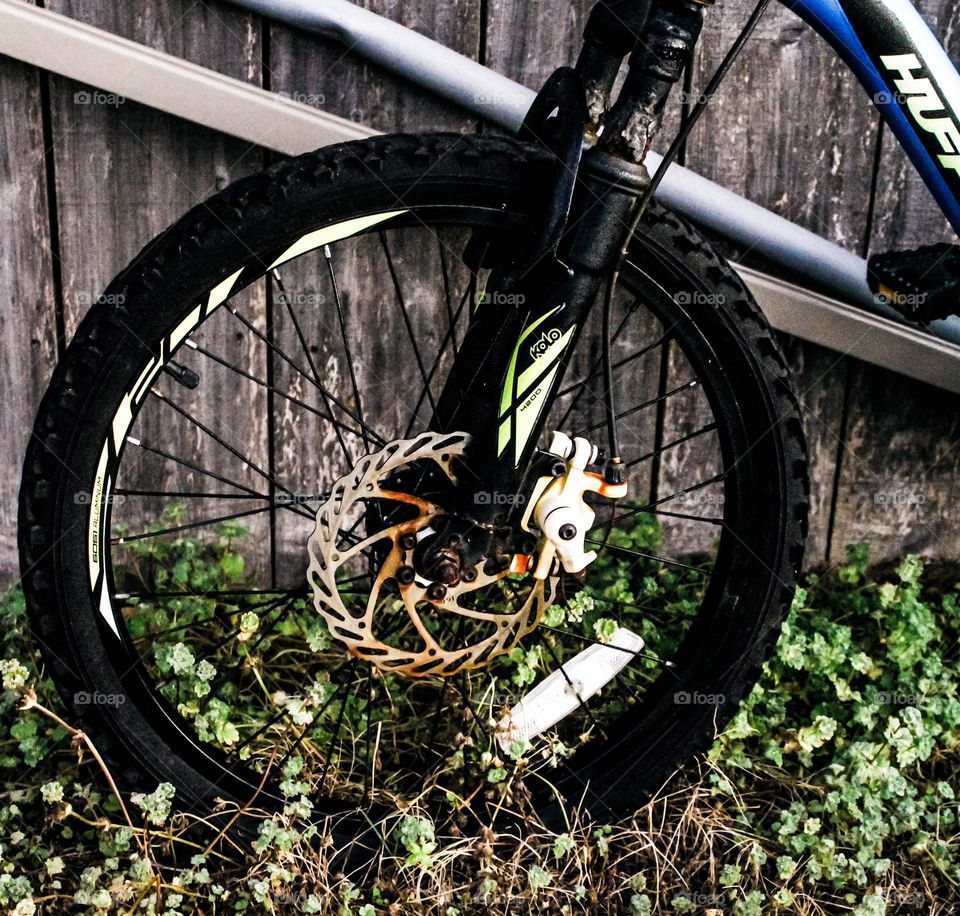 Rusted and seemingly abandoned, we see a portion of a bicycle and wonder where it is resting 