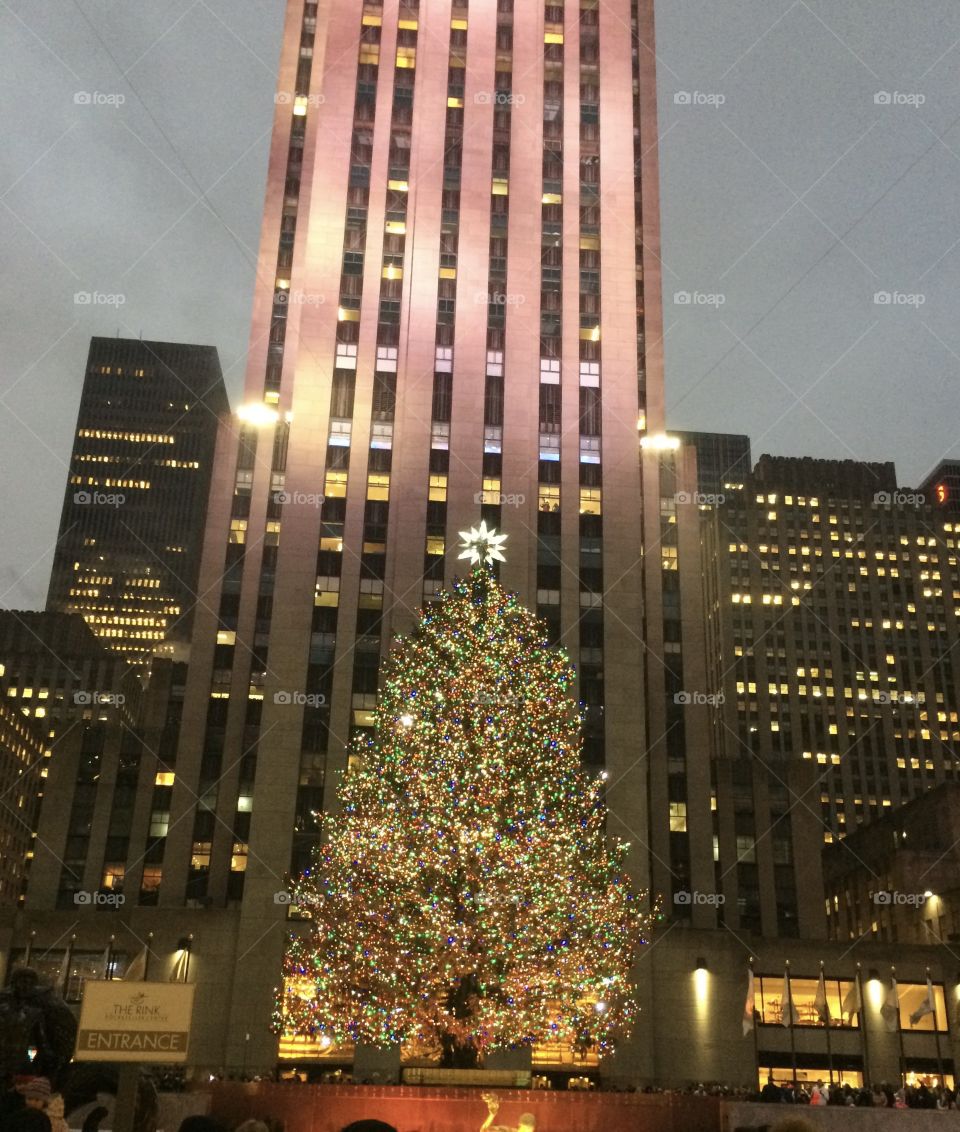 New York City Annual City Tree Lighting 