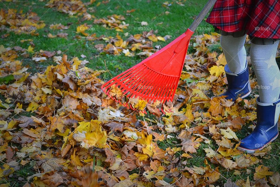 Raking leaves