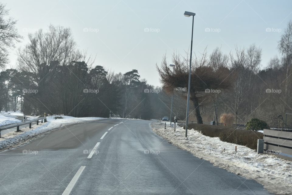 Road, Snow, Winter, Weather, Tree