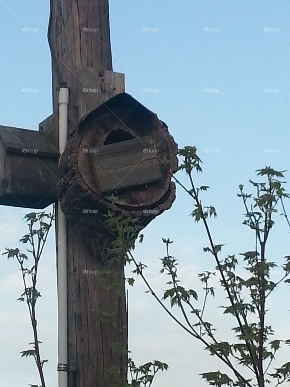 birdhouse