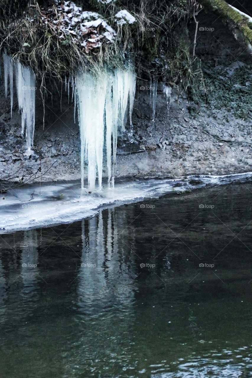 Large, long icicles hang from branches and twigs down into a green river in which they are reflected