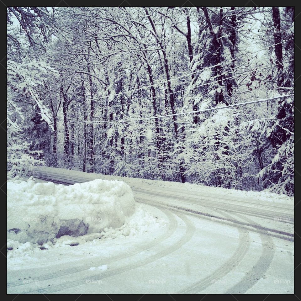 snowy drive 