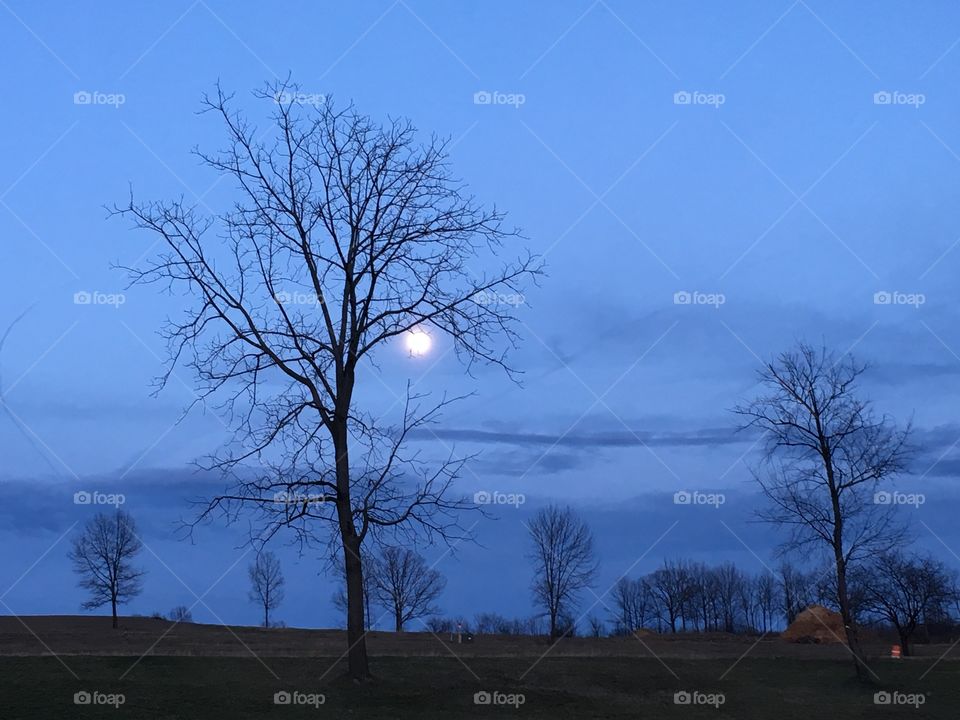 Full moon in New York