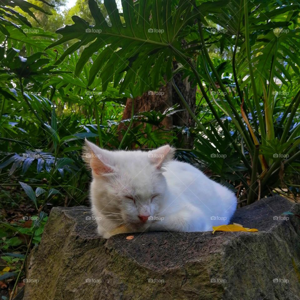 Sleeping In my Throne.