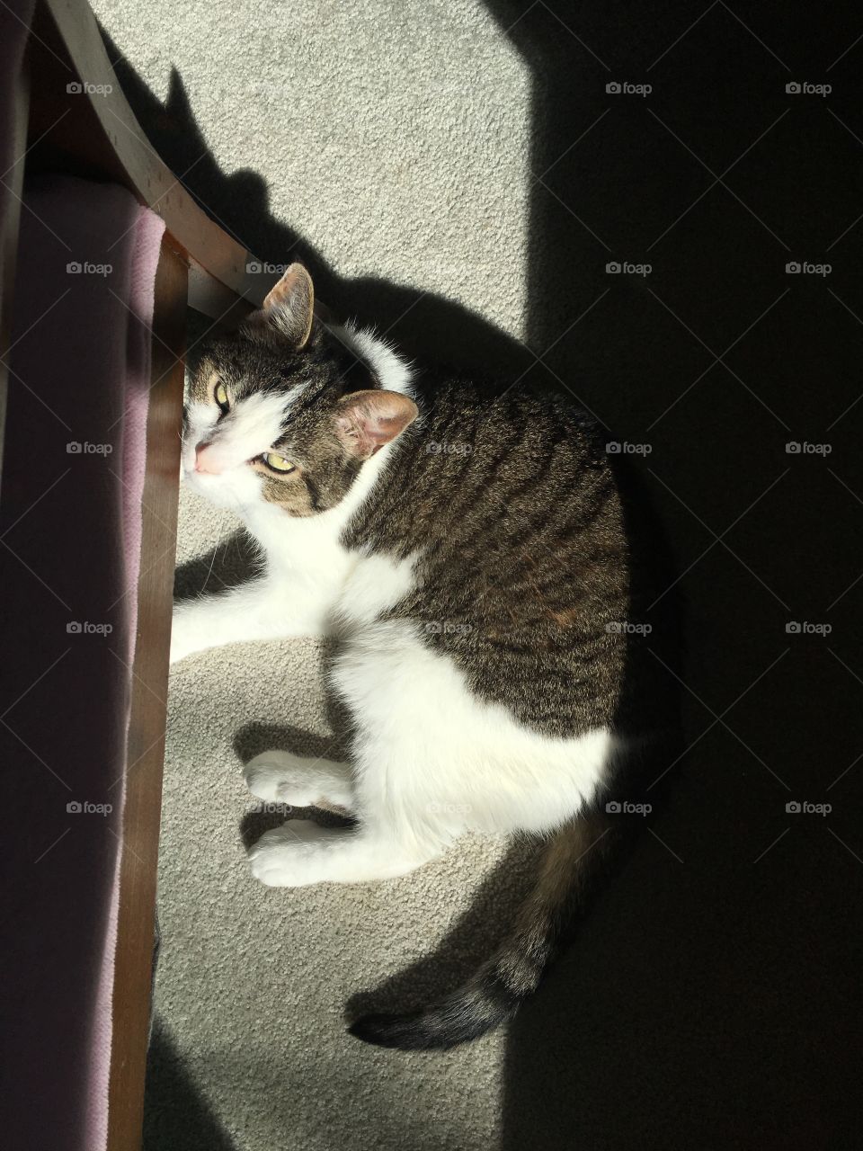 Are you looking at me?