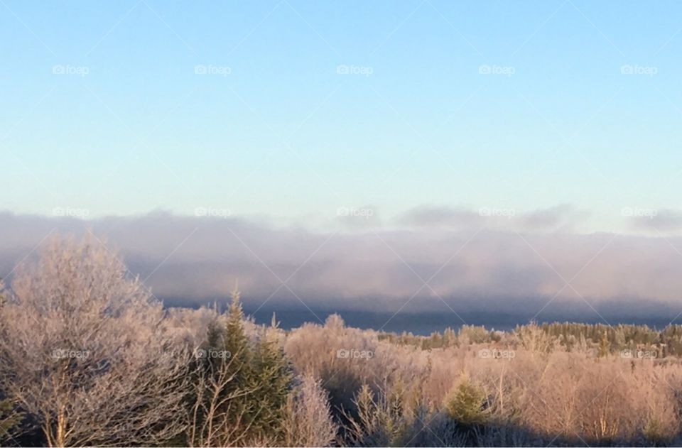 Landscape view of silver thaw on trees and fog over lake. Beautiful winter morning 
