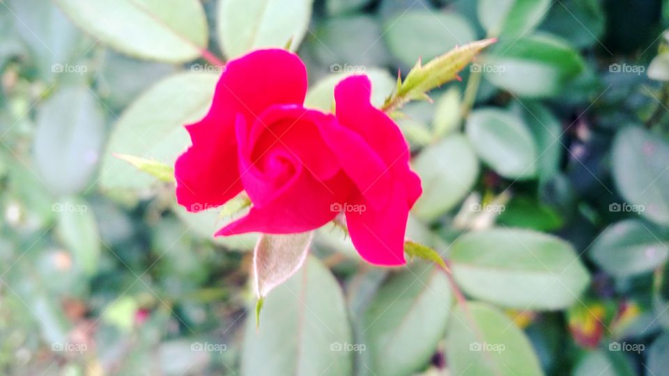 slow, steady, powerful