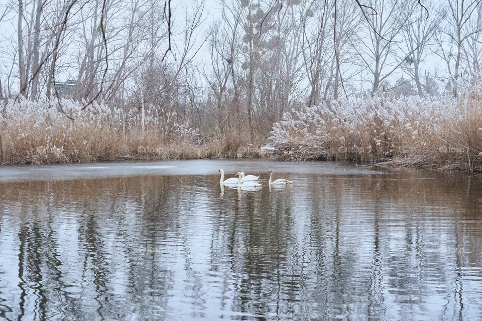 Winter 