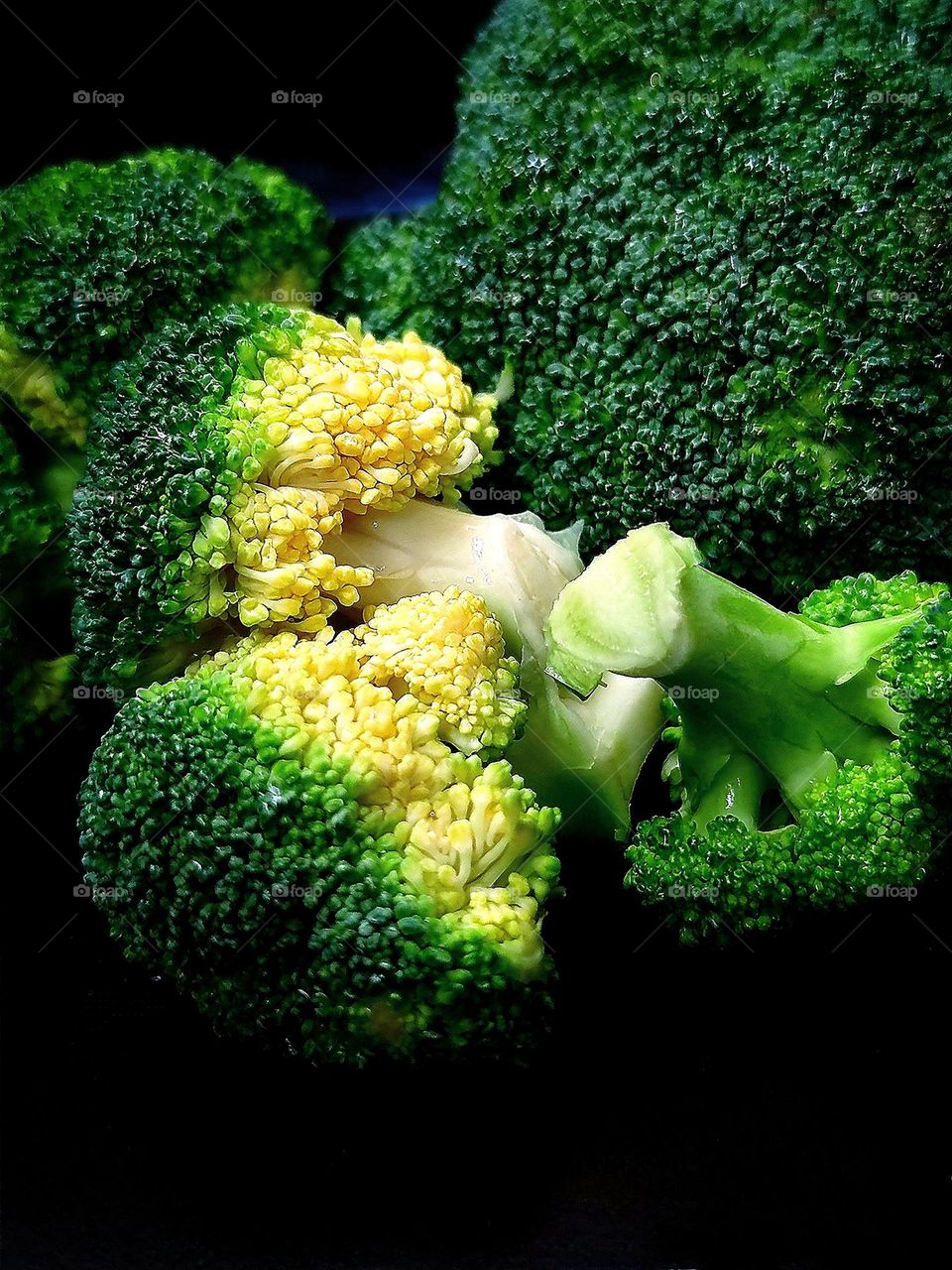 Green color.  Broccoli cabbage on a black background: small inflorescences and part of cabbage