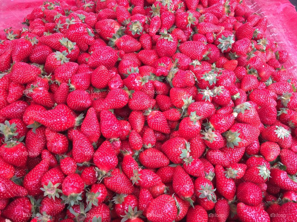 Fraise, strawberries