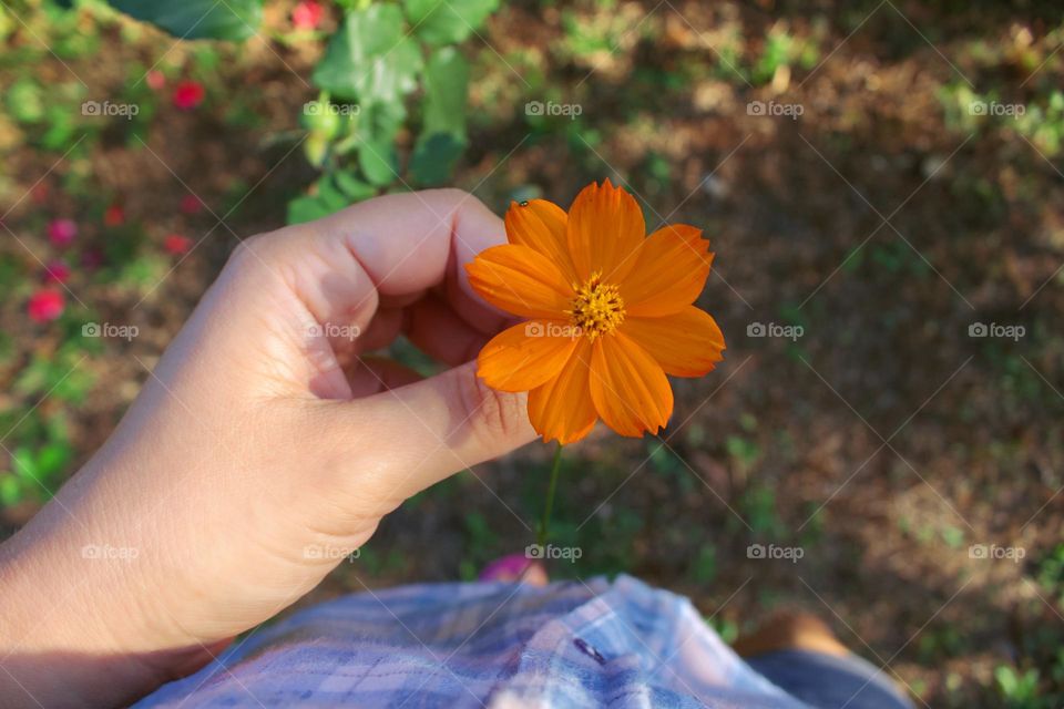 Woman holding a flower in her hands