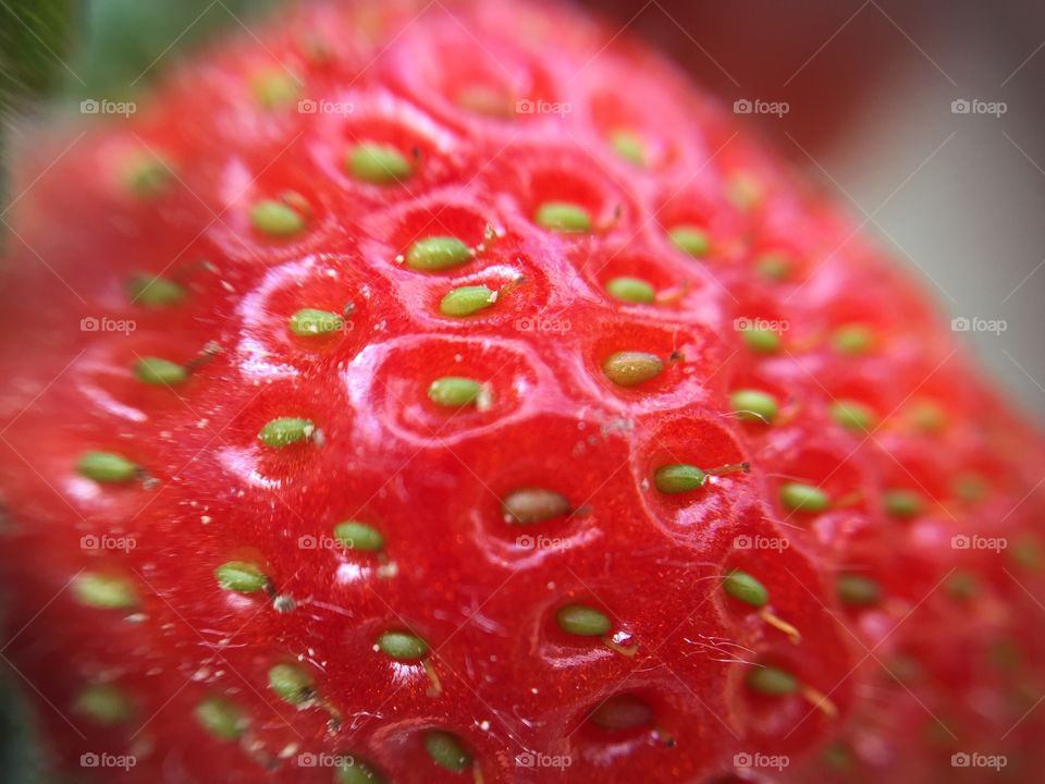 Strawberry 