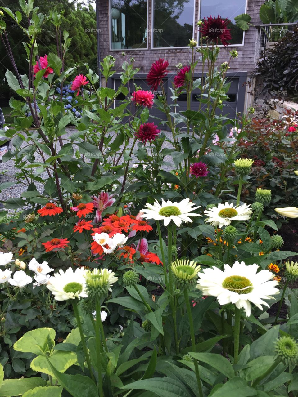 Martha's Vineyard Garden 