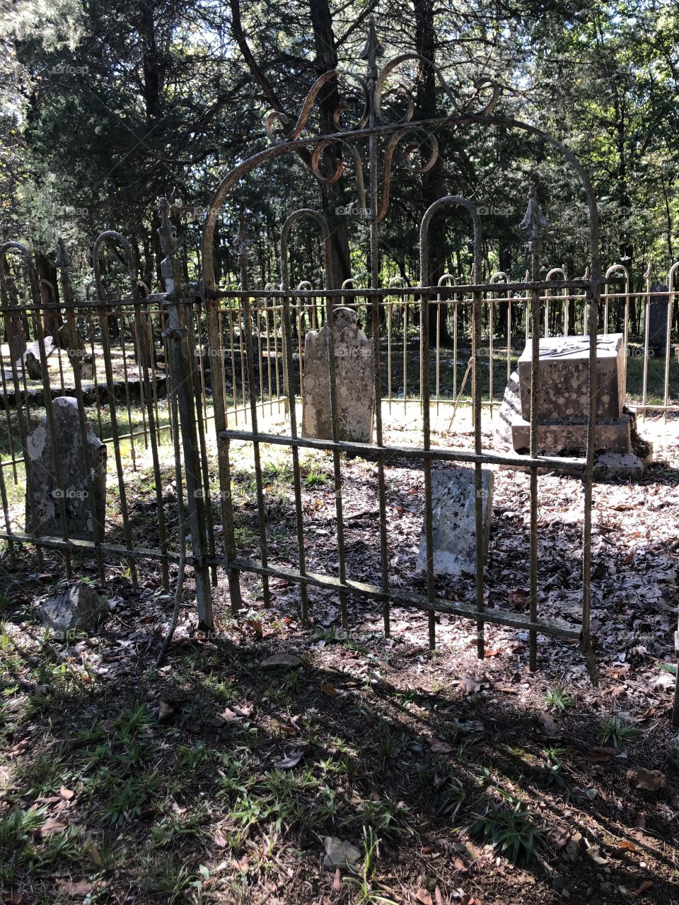 Old cemetery 