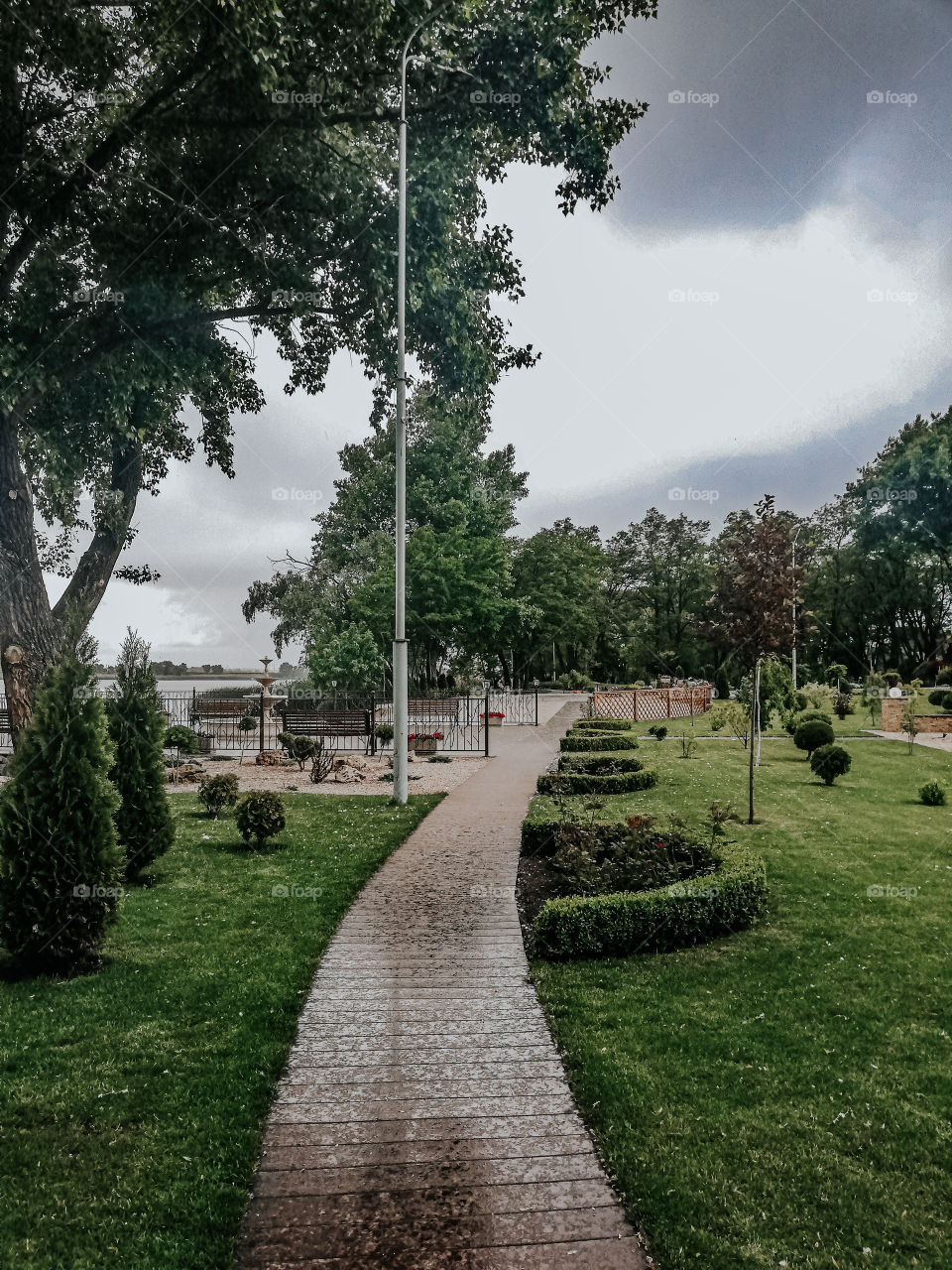 Park and green trees