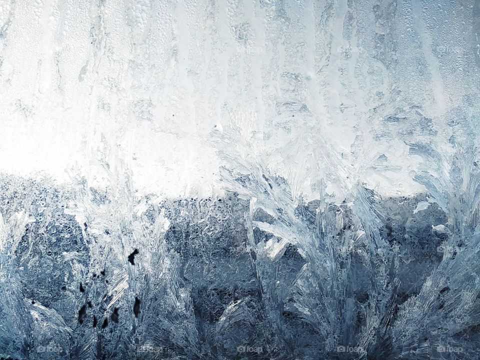 Frost ferns on window. Beautiful winter