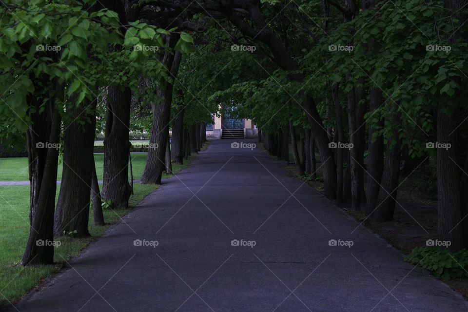 Beautiful Park to Walk and Relax in Gdansk
Poland

Foap Mission
Photo of the Week
