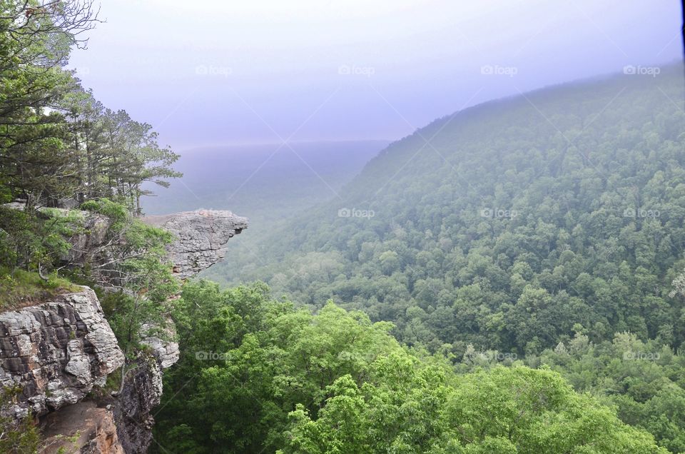 Whitaker Point AR