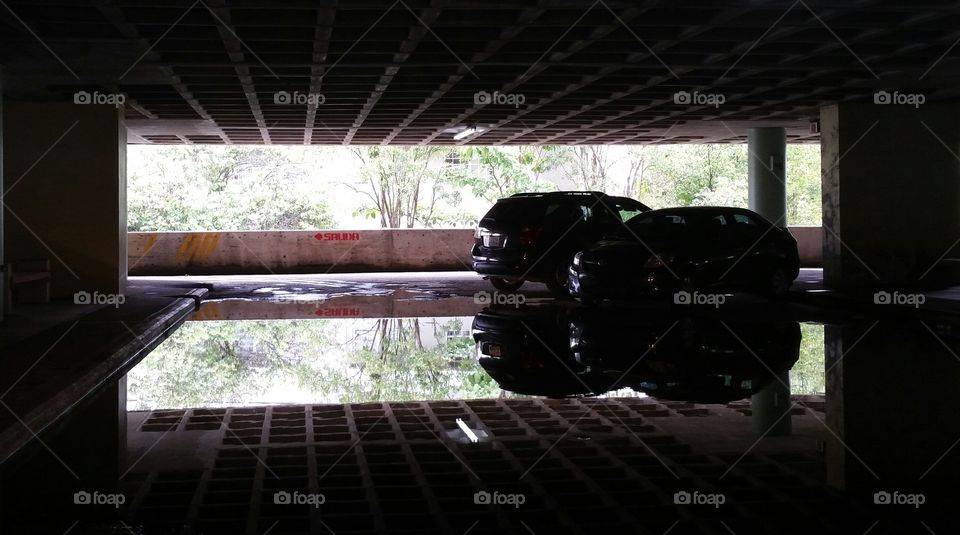 Trees and cars reflected on water