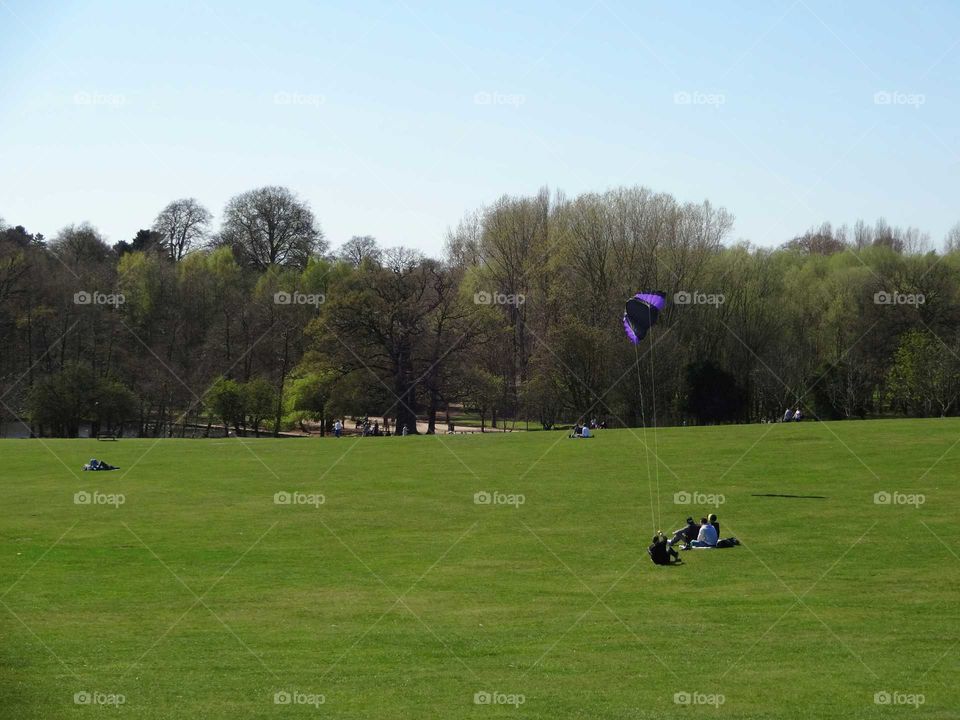 landscape of family leisure activities