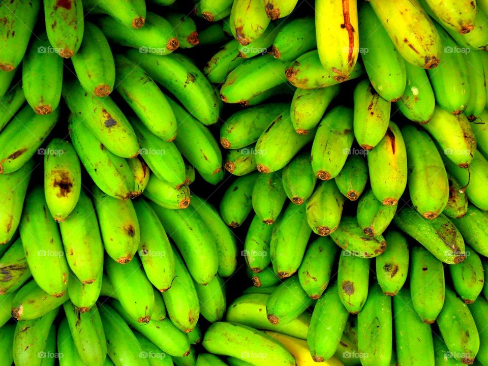 fresh green bananas