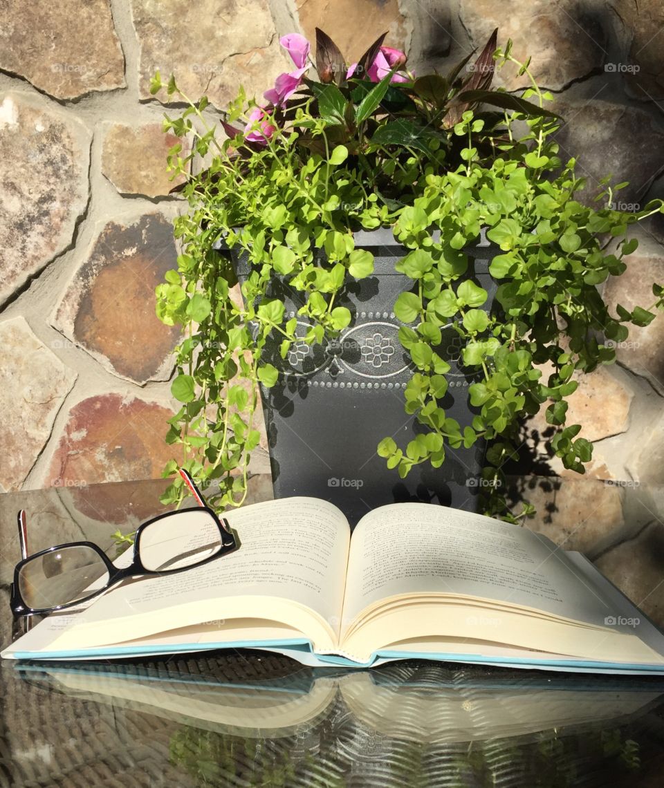Flower Pot and Book