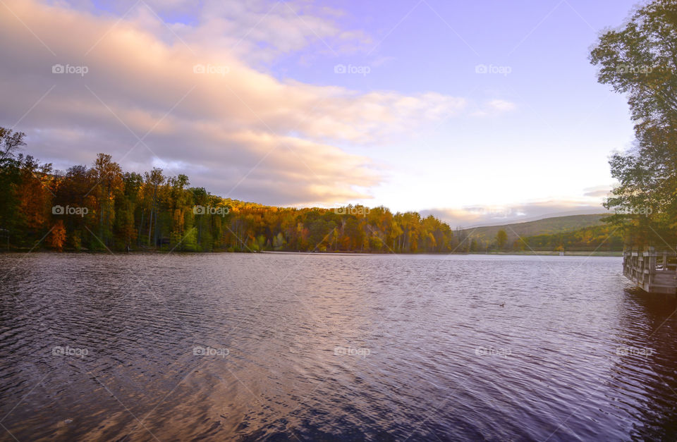 View of lake by trees in autumn