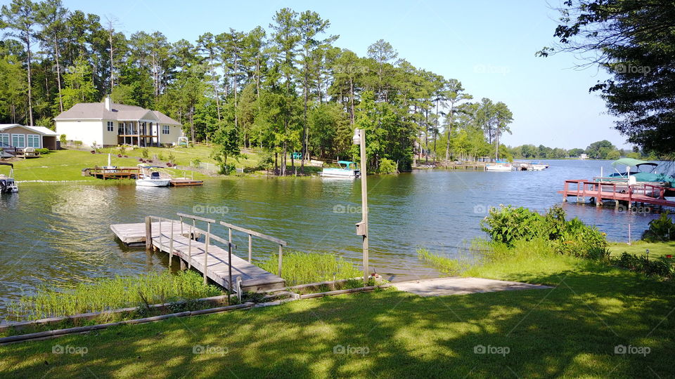 Water, Lake, Tree, Summer, River