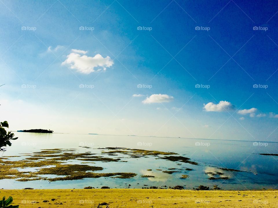 Maldivian view 
