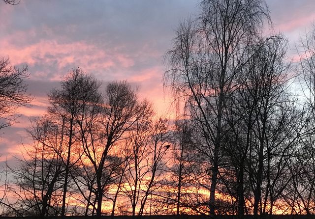Gold sky