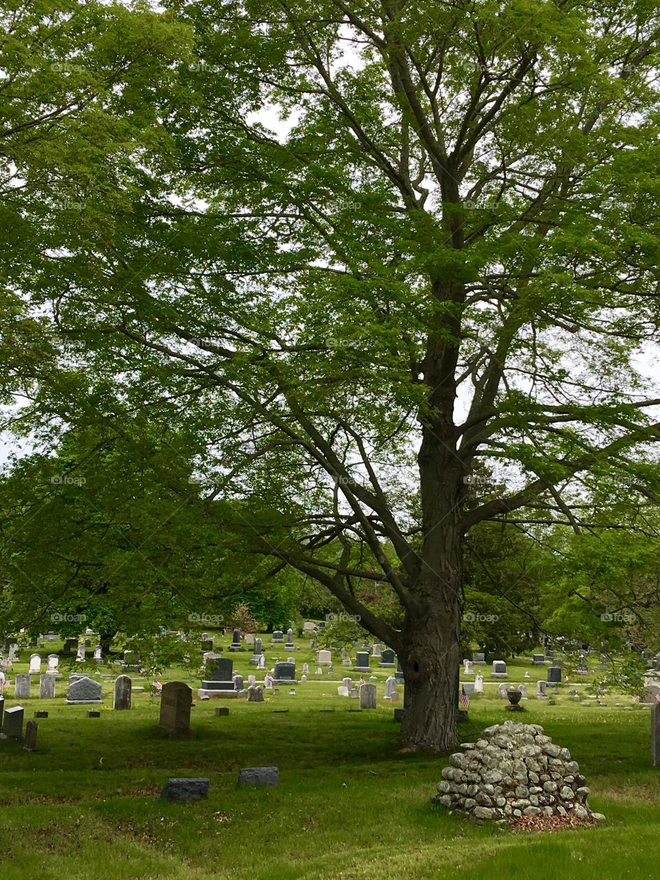 Cemetery Old Grave Stones some back to Civil War, Shade Trees