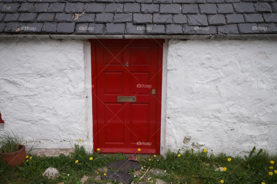 Red door 