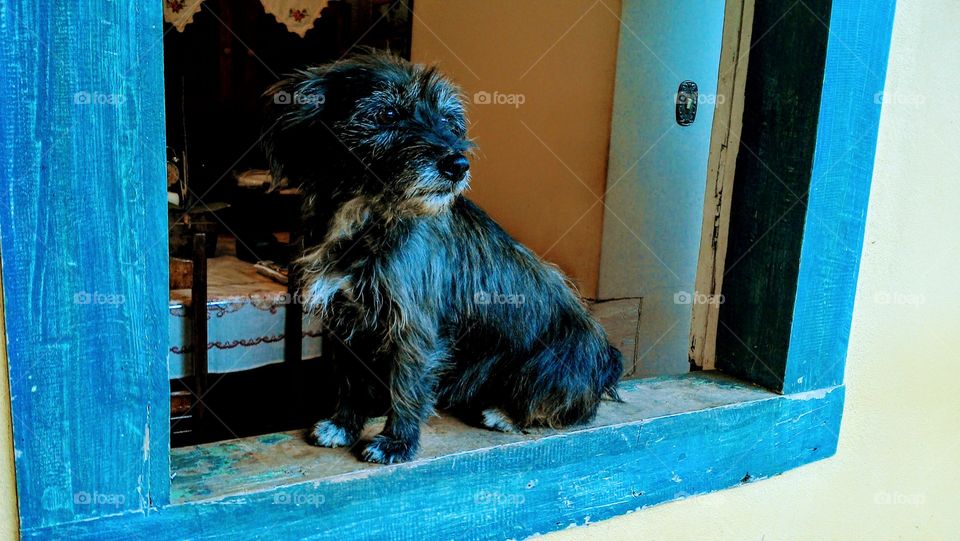 Foguinho na fazendo. Dono abrindo a porteira.