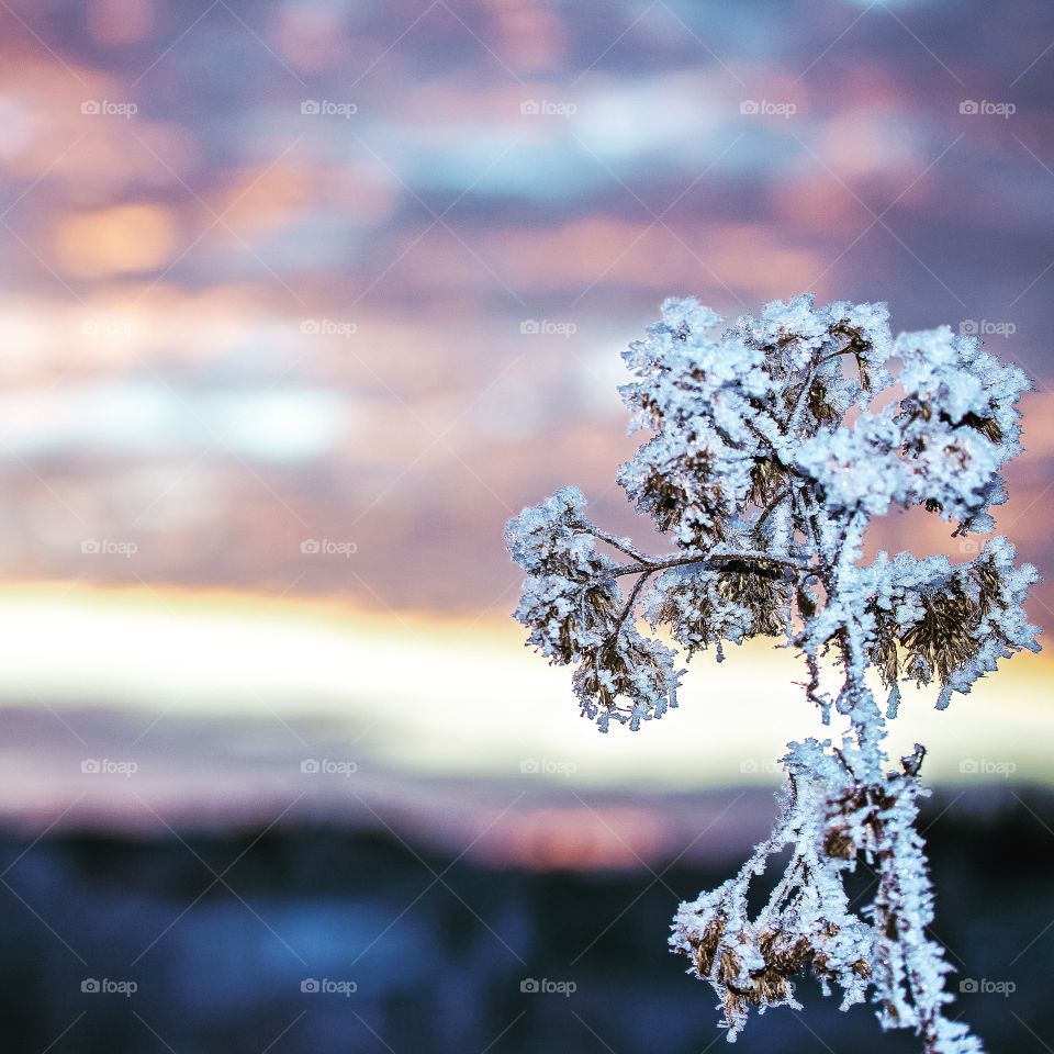 Cold morning skyline